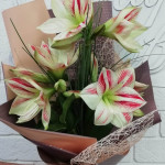 Букеты цветов Сборный букет «Алые паруса» - интернет-магазин «Мир Цветов» в Абакане