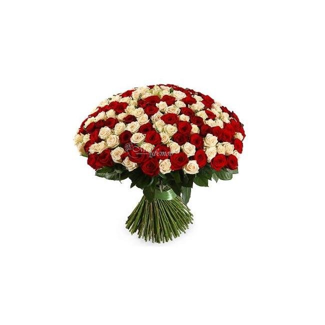 Букет из розы «Комплимент королеве»