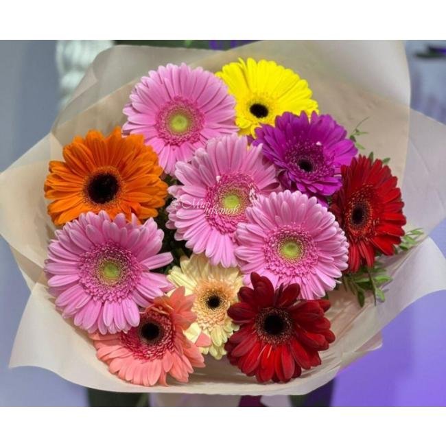 Букет из гербер Разноцветный Микс