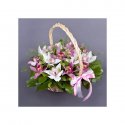Композиция в корзине «Буйство орхидей»