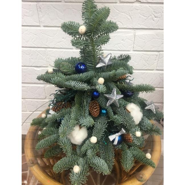 Композиция «Лесная красавица!»